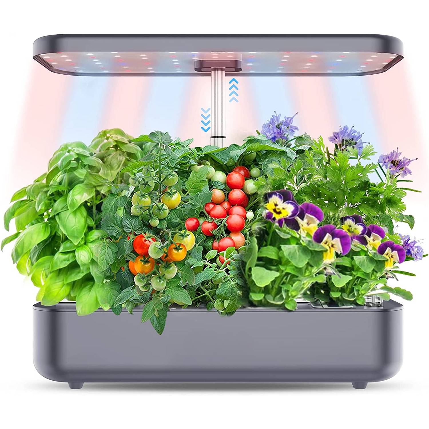 Hydroponics Growing System, 12 Pod Herb Garden