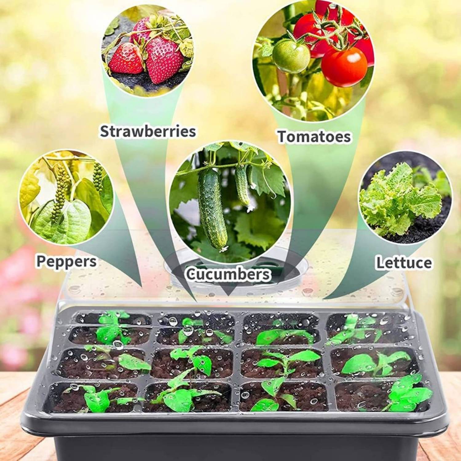 Seed Starter Trays with Humidity Domes, Pack of 5: image 5