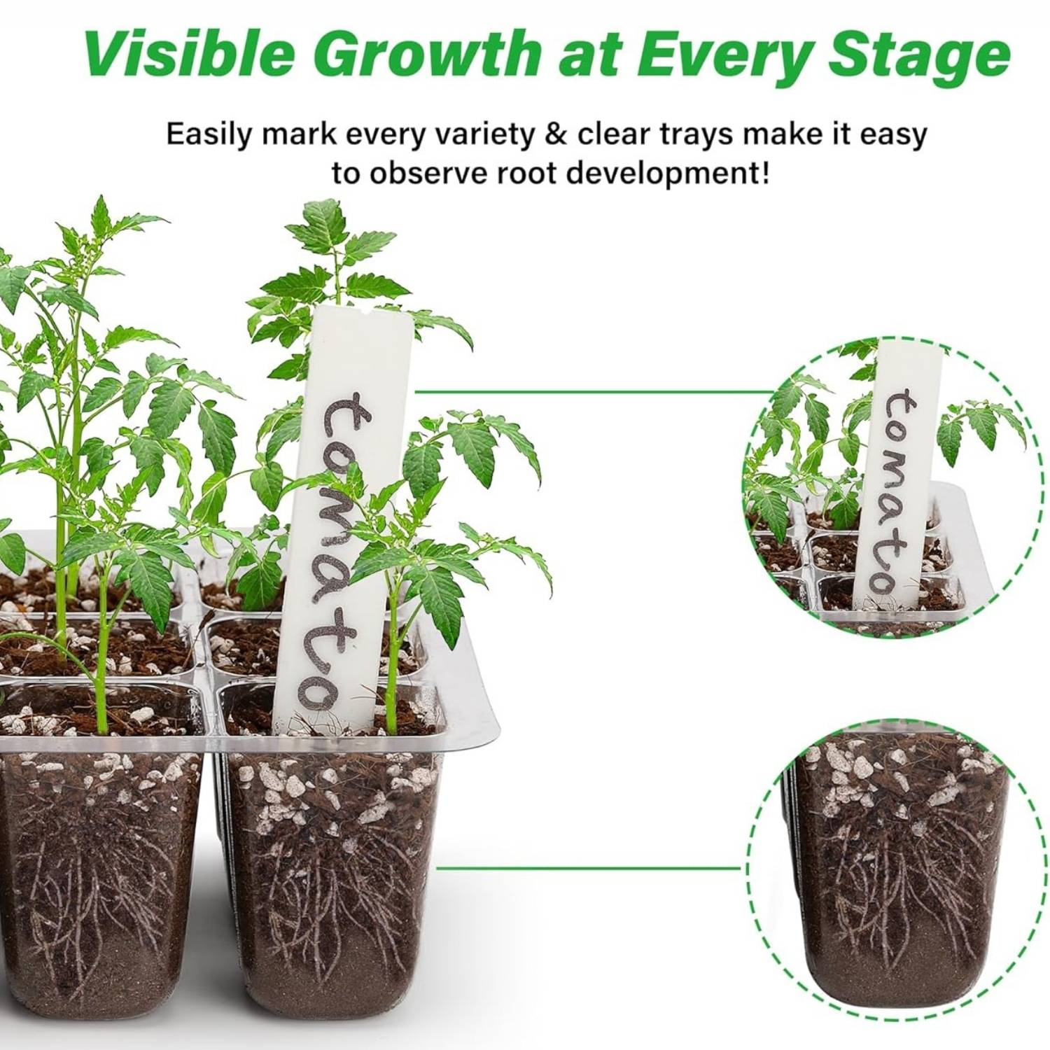 Seed Starter Trays with Humidity Domes, Pack of 5: image 8