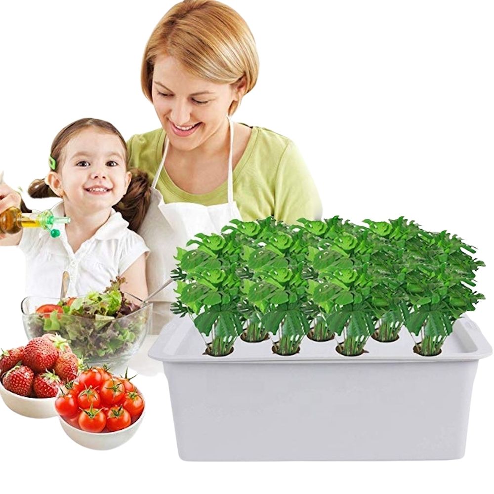 Deep Water Culture Hydroponic System, 11 Cup