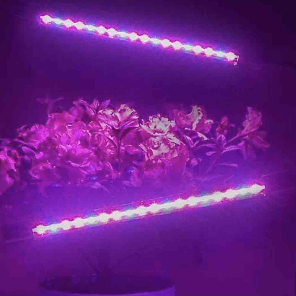 LED Grow Light, Dual Head Clip Lamp