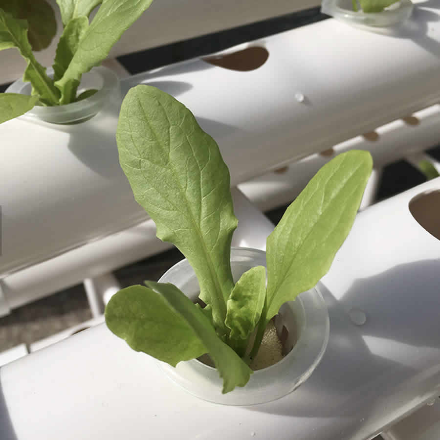 36 Cup NFT Hydroponic Kit: image 6