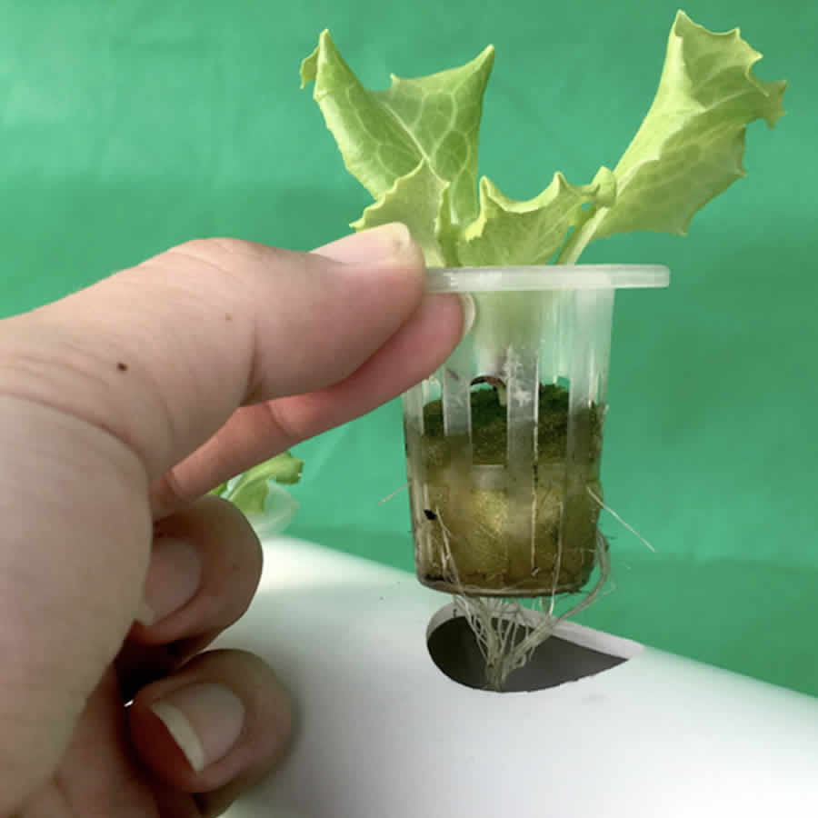 36 Cup NFT Hydroponic Kit: image 8
