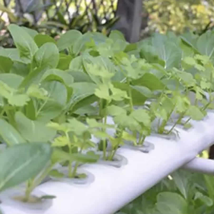 36 Cup NFT Hydroponic Kit: image 9