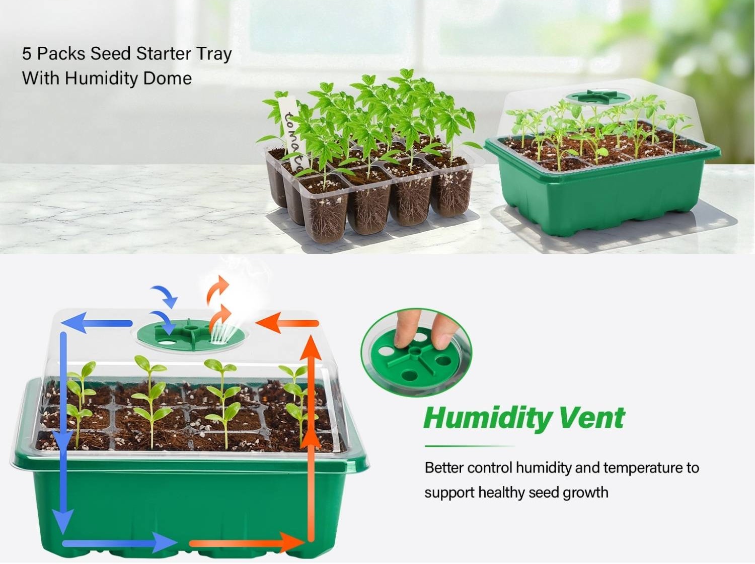 best self watering seedling tray 