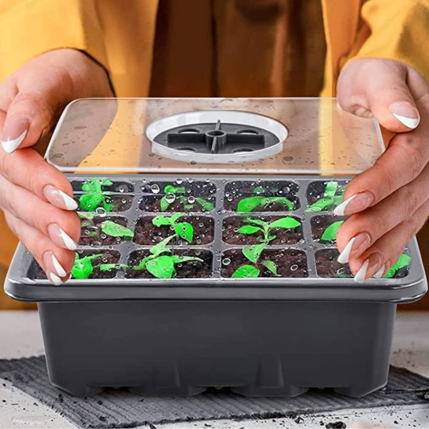 best self watering seedling tray
